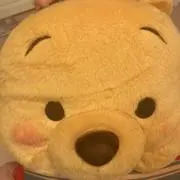 プーたんの画像
