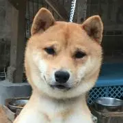 豆ちゃん