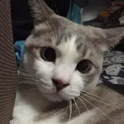 ゆう ☆プロフィールご一読ください☆
