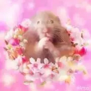 はる