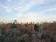 makkieの画像