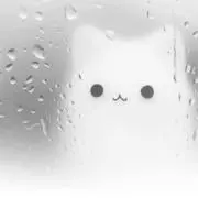 はくの画像