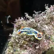うきさよの画像