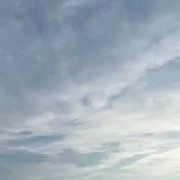 いちの画像