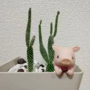 まるもちの画像
