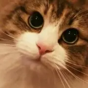 古着屋なほちゃん