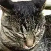 べい六の画像