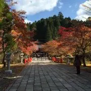 YAMADAの画像