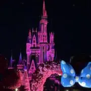 ここ