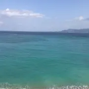 キャロル