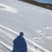 荒谷