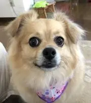 imiekeiの画像