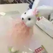 もいもい☆断捨離したい！の画像