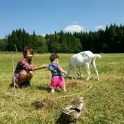 こいけchanの画像