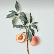 Yu ‼️断捨離中‼️セールの画像