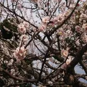 pointの画像