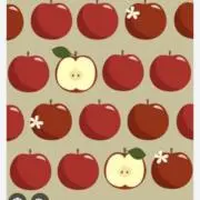 くだもん！！の画像