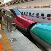 マイコ