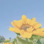 りこぴんの画像