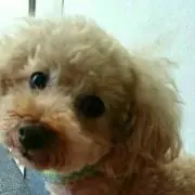 にいなぽんの画像