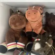 ハルソラの画像