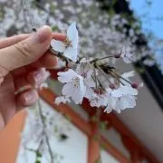 Jiaの画像