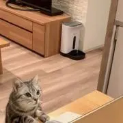 pen21の画像