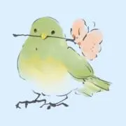 小鳥の宝箱の画像