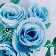 ♪ブルー♪の画像