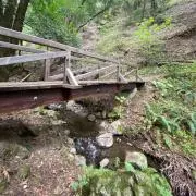 Tacの画像