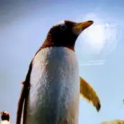 （・Θ・）の画像