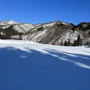 モトヤ