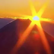 いなばの画像