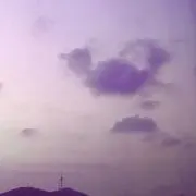 sakuraの画像