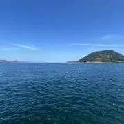 小魚の画像