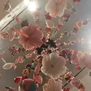 Mの画像