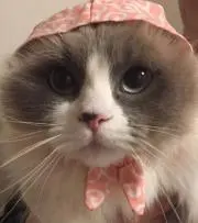 なるの画像