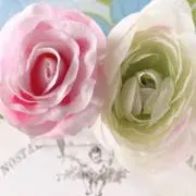 Belle Vieraの画像