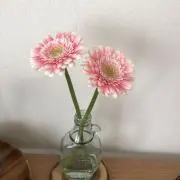 achanaの画像