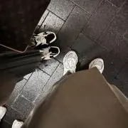 あっくんの画像