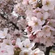 y.mの画像