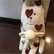 いづりんの画像
