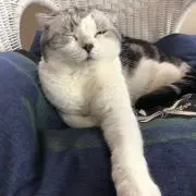 ⭐️かん⭐️の画像