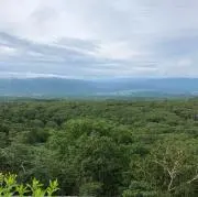 右耳の画像