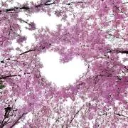 マー☆の画像