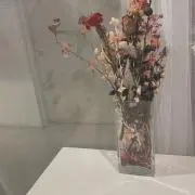 ntの画像