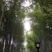 tkの画像