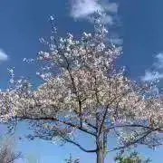 くろすぽ *☻☻*の画像