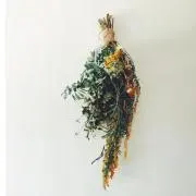 t.の画像