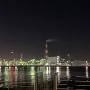 ティムの画像
